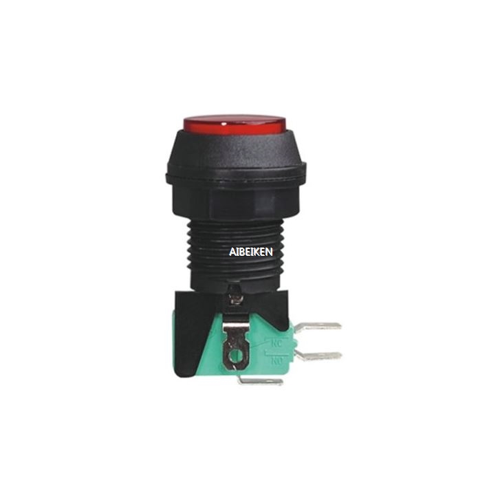 16A 250VAC Push Button with Micro Switch