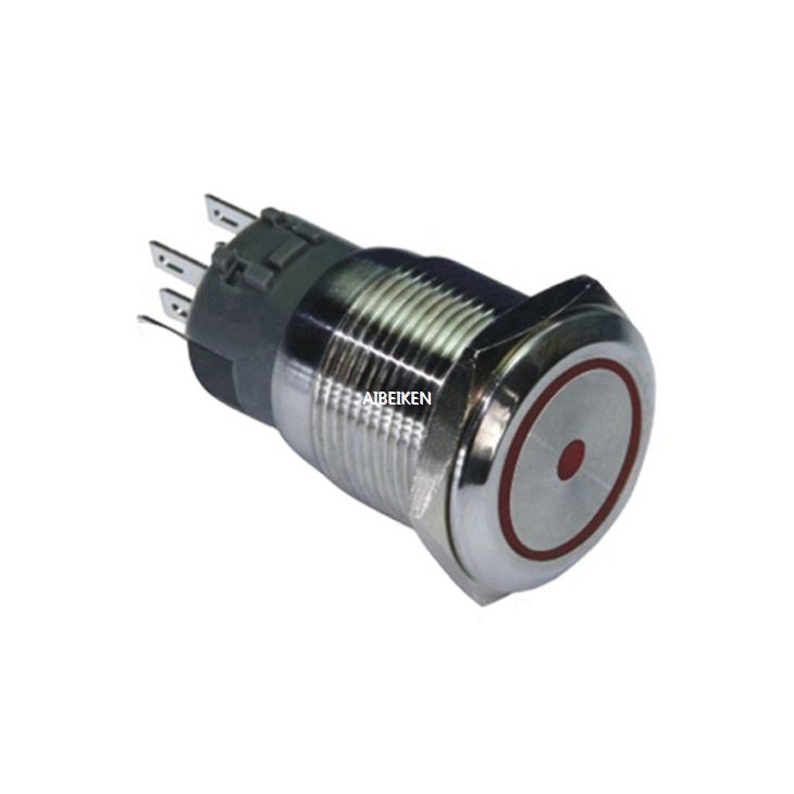 19mm Momentary LED Metal Switch Push Button