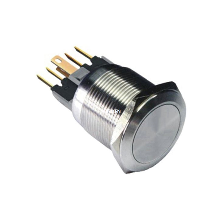 22mm 250V LED Waterproof Push Button