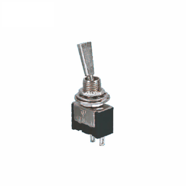 ON-OFF SPST 2 Pin 12V Toggle Switch